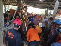 BPBD-Damkar Bogor Evakuasi Sapi Setengah Ton yang Mati Tercebur ke Sumur