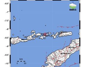 Gempa M 3,6 Guncang Lembata, Warga Sebut Getaran Seperti Ayunan