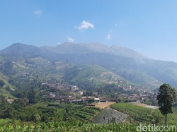Kebakaran Gunung Merbabu Diduga Akibat Faktor Alam