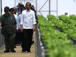 Jokowi Sebut Beban Jakarta Sangat Berat: Macet, Banjir, hingga Polusi