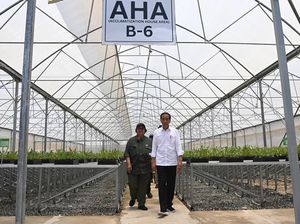 Jokowi di IKN Sebut Beban Jakarta Sangat Berat: Macet, Banjir, dan Polusi