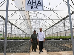 Jokowi di IKN Sebut Beban Jakarta Sangat Berat: Macet, Banjir, dan Polusi