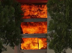 Fakta-fakta Massa Demo Bakar Kantor Bupati Pohuwato-Serang Gedung DPRD