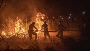 Potret Perjuangan Padamkan Kebakaran Lahan di Ogan Ilir