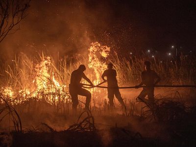 Potret Perjuangan Padamkan Kebakaran Lahan di Ogan Ilir