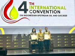 BP-Pertamina Kerja Sama Kembangkan Amonia Biru di Teluk Bintuni