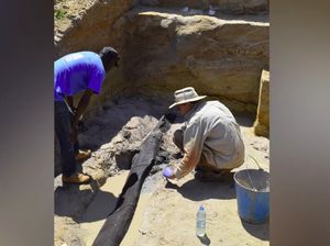 Struktur Kayu Tertua Ditemukan, Arkeolog Ragu Itu Milik Manusia