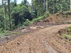 Polisi Usut Dugaan Korupsi Proyek Jalan di Bintuni, 14 Saksi Diperiksa