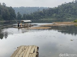 Danau Situ Gunung Surut, Wisatawan Juga Ikut Menyusut