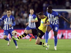 Brighton Tangguh di Liga Inggris, Keok di Eropa