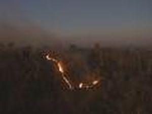 Hutan Bukit Cemoro Sewu Klaten Sempat Terbakar, Begini Kondisinya