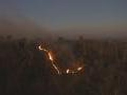 Hutan Bukit Cemoro Sewu Klaten Sempat Terbakar, Begini Kondisinya