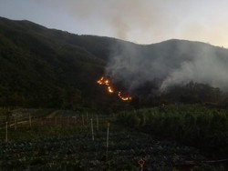 5 Hal Diketahui soal Bukit Mongkrang di Karanganyar Kebakaran