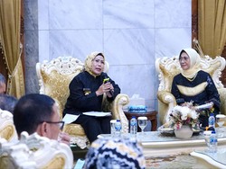 Bupati Serang Sampaikan Kondisi & Upaya Genjot Literasi ke Komisi X DPR