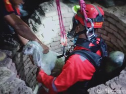 Anak Kambing Masuk Sumur 12 Meter di Ceper Klaten, Selamat Dievakuasi Petugas