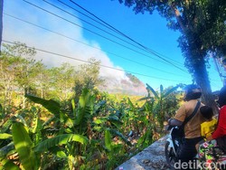 Gunung Jayanti Palabuhanratu Terbakar!