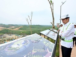 Jokowi Cek Proyek Kantor Presiden di IKN: Semua Masih Sesuai Rencana