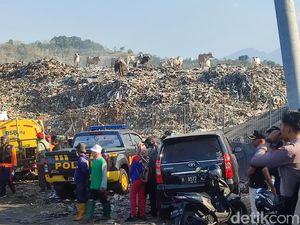 Ada Sejak 1997, Kandang Sapi di TPA Jatibarang Semarang Bakal Direlokasi