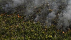 Kebakaran Landa Hutan Serra das Bandeiras di Brasil
