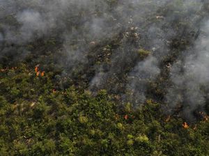 Kebakaran Landa Hutan Serra das Bandeiras di Brasil