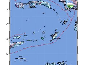Gempa Bumi M 6,6 di Kepulauan Tanimbar Maluku, Terasa Kuat di Saumlaki