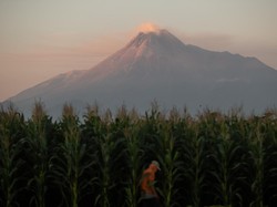 Dentuman Misterius di Jogja Berasal dari Gunung Merapi? Ini Kata BPPTKG