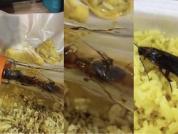 Jijik! Wanita Ini Temukan Kecoak Berenang di Botol Kecap