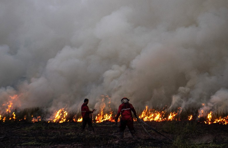 Hari Ke-10 Pemadaman Kebakaran Lahan Gambut di Riau