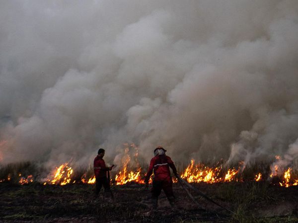 Damkar Terus Berjuang Padamkan Karhutla di Ogan Ilir