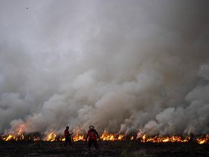 1.906 Hektare Lahan di Riau Terbakar, 34 Orang Jadi Tersangka
