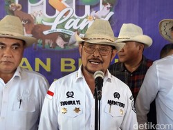 Mentan Syahrul Yasin Limpo Sudah Tiba di Indonesia