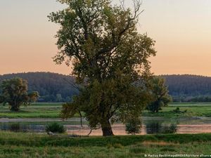 Pengadilan UE: Jerman Langgar UU Konservasi Alam