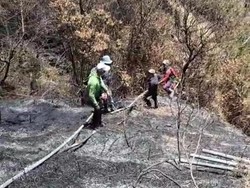 Kerugian Kebakaran Bromo Akibat Flare Prewedding Calon Pengantin Rp 5,4 M