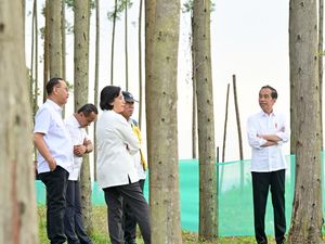 Momen Jokowi Berkemah di IKN, Ditemani Sri Mulyani hingga Basuki