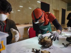 126 Benda Bersejarah dari Kebakaran Museum Nasional Telah Teridentifikasi