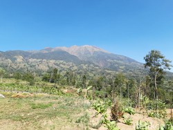Usai 19 Jam Kebakaran di Hutan Gunung Merbabu Akhirnya Padam