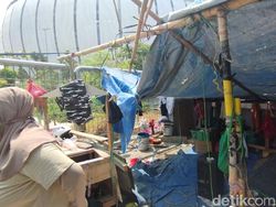 Tinggal di Dekat JIS, Warga Kampung Bayam Terpaksa Beli Air Bersih