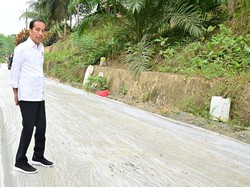 Bocoran Proyek Baru di IKN yang Mau Dicek Jokowi