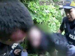 Mau Menangkap Pencuri, Pasukan Polisi Ini Malah Dikerubungi Tawon