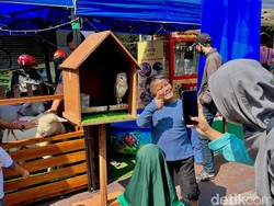 Serunya Para Bocah Menikmati Mini Zoo di Cibadak Fun Day