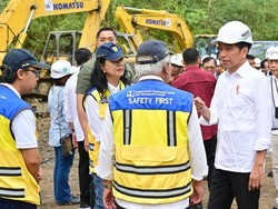 Jokowi Ingin Ada Groundbreaking Investasi Swasta di IKN Tiap Bulan