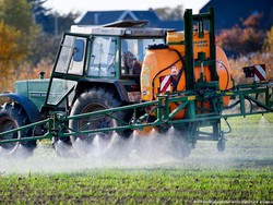 UE Akan Perpanjang Izin Herbisida Kontroversial Glifosat?