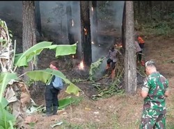 Kebakaran Hutan Gunung Lawu Ngawi Merambat ke Wilayah Magetan