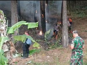 Kebakaran Hutan Gunung Lawu Ngawi Merambat ke Wilayah Magetan Kebakaran Hutan Gunung Lawu Ngawi Merambat ke Wilayah Magetan