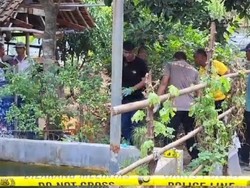 Fakta-fakta Bule Amerika Tusuk Mati Mertua di Banjar