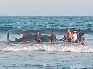 Mitos Kemunculan Naga Bentang di Pesisir Pangandaran Mitos Kemunculan Naga Bentang di Pesisir Pangandaran