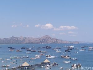 Pemkab Bentuk Satgas Kejar Pajak Kapal Wisata di Labuan Bajo Pemkab Bentuk Satgas Kejar Pajak Kapal Wisata di Labuan Bajo