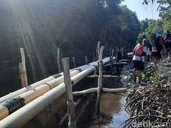 Pencemaran di Karimunjawa Diduga dari Tambak Udang