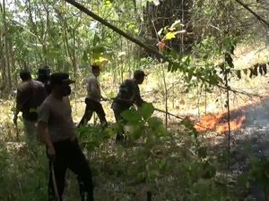 10 Hektare Hutan Gunung Budeg Tulungagung Terbakar