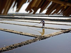 Kemarau Panjang Bikin Warga Maros Ubah Tambak Ikan Jadi Tambak Garam Kemarau Panjang Bikin Warga Maros Ubah Tambak Ikan Jadi Tambak Garam